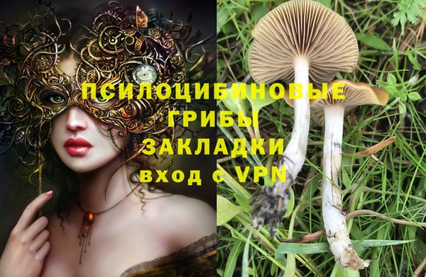 хмурый Карталы