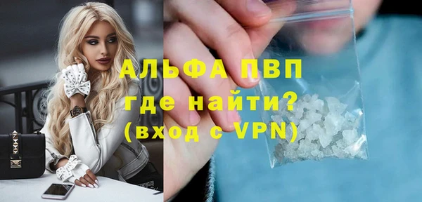 мдпв Карпинск