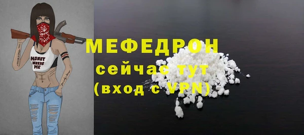 мдпв Карпинск