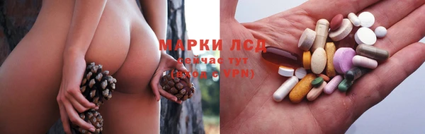 хмурый Карталы