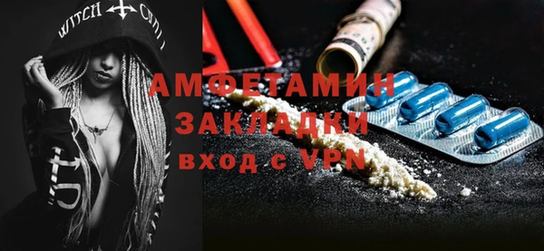 мдпв Карпинск